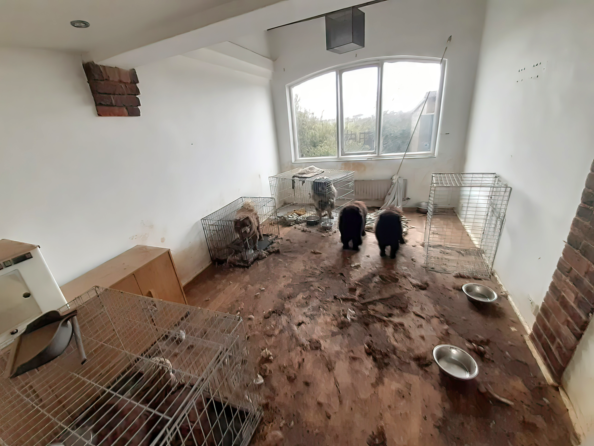 A picture of the conditions environmental health officers found in one of the bedrooms of the rented property in Portleys Lane, Drayton Bassett.