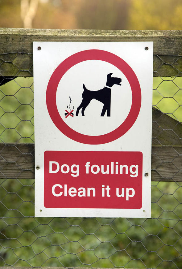 Sign showing no dog fouling, clean it up