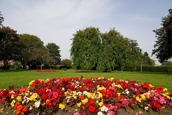 Burntwood park