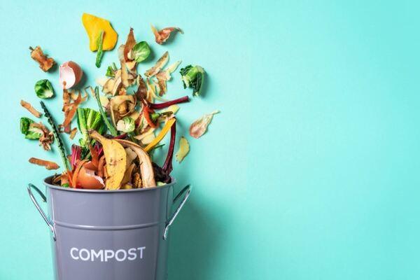 Compost food waste