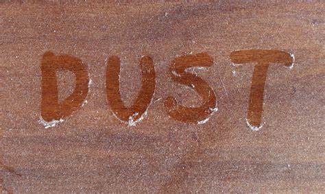 Picture of the word dust written into dust